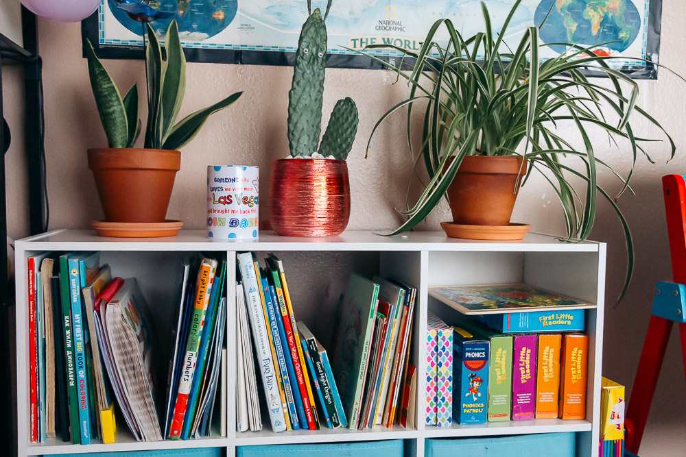 Organizing Books in Home Library - Roads and Destinations