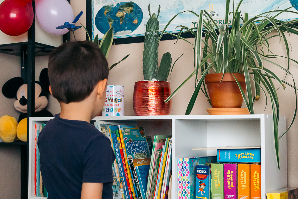 Organizing Books in Home Library - Roads and Destinations