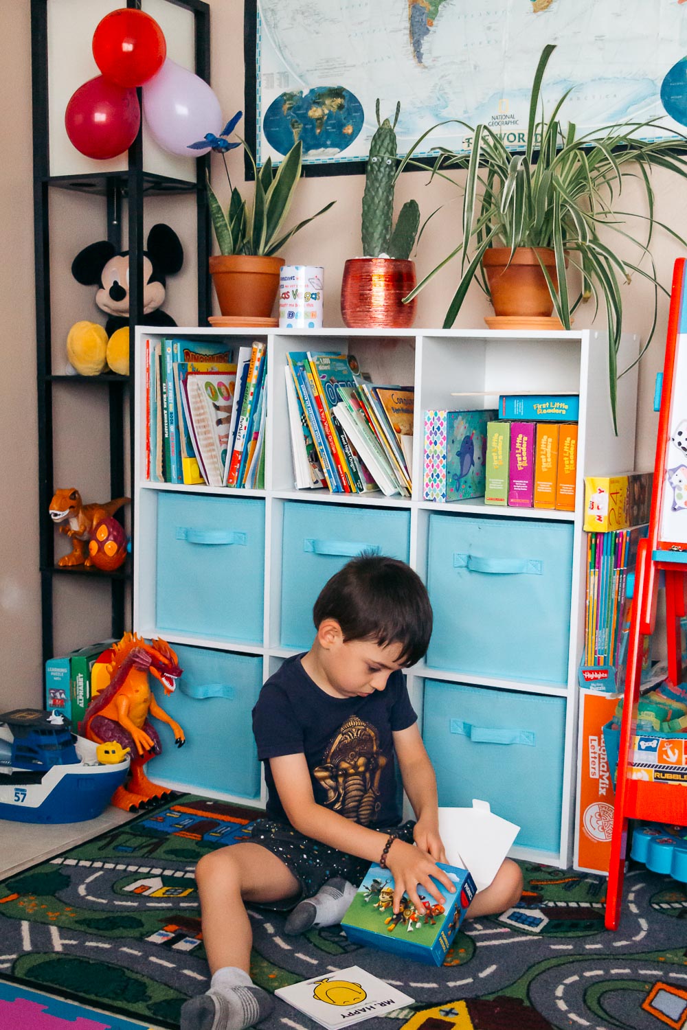 Organizing Books in Home Library - Roads and Destinations