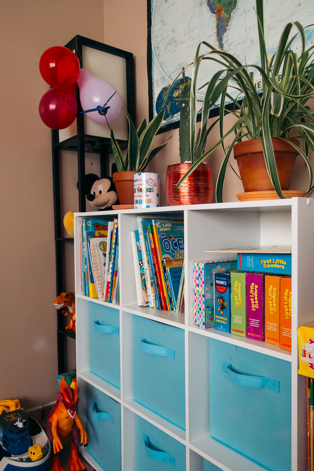 Organizing Books in Home Library - Roads and Destinations