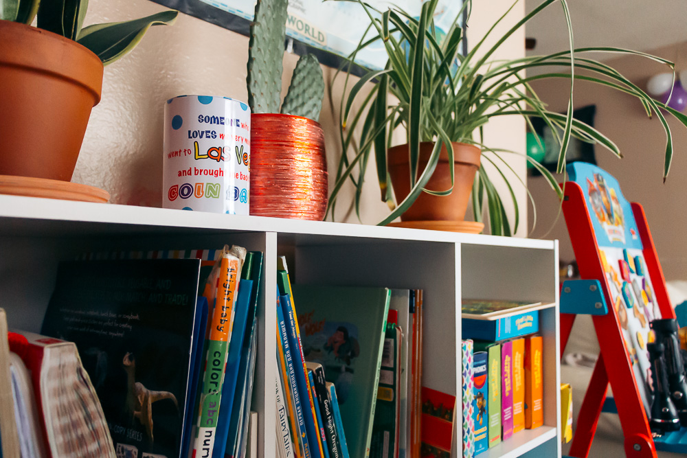 Organizing Books in Home Library - Roads and Destinations