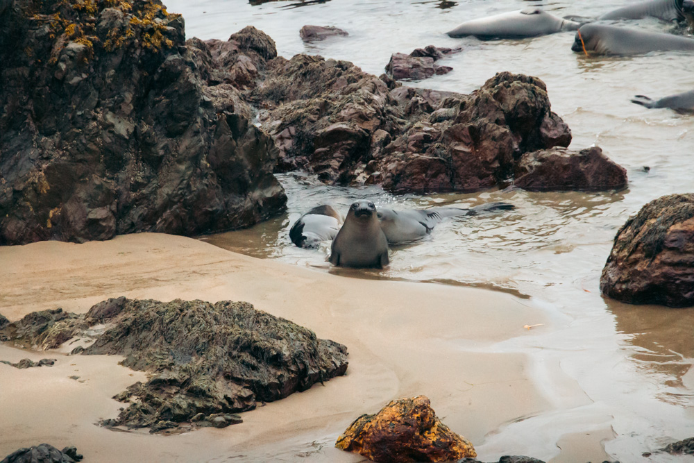 Places to visit in San Simeon, CA - Roads and Destinations