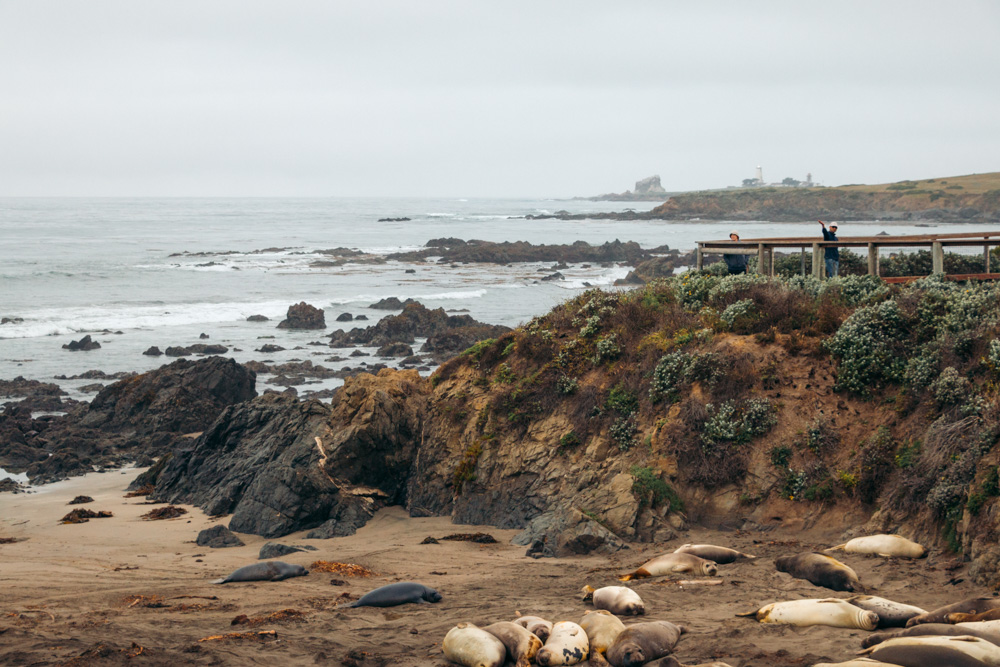 Places to visit in San Simeon, CA - Roads and Destinations