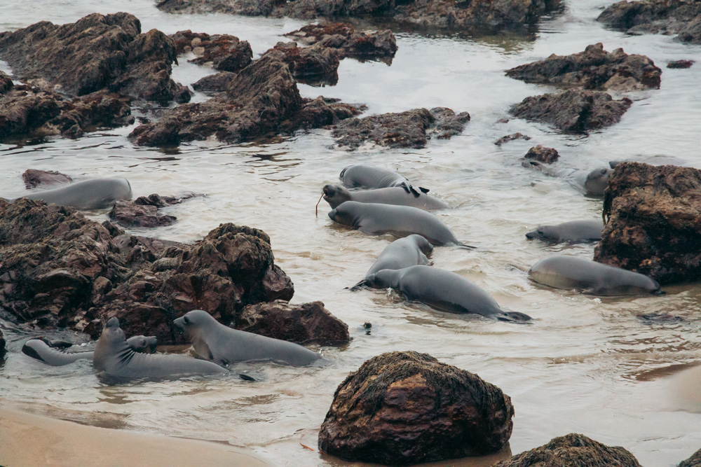 Places to visit in San Simeon, CA - Roads and Destinations