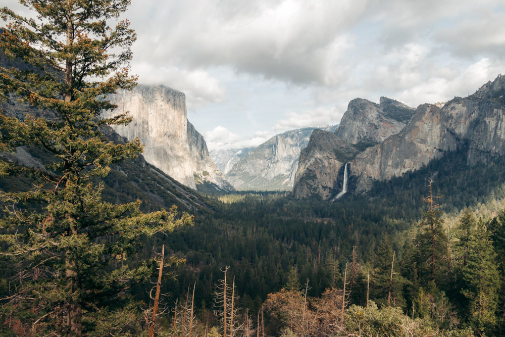 Things to do in Yosemite with kids - Roads and Destinations