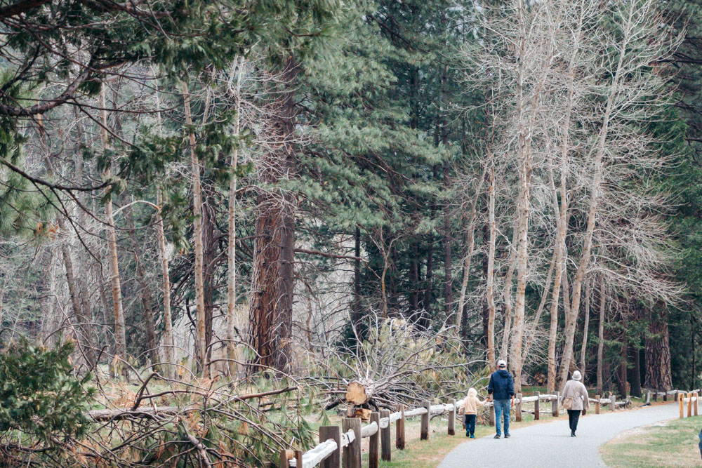 Things to do in Yosemite with kids - Roads and Destinations.