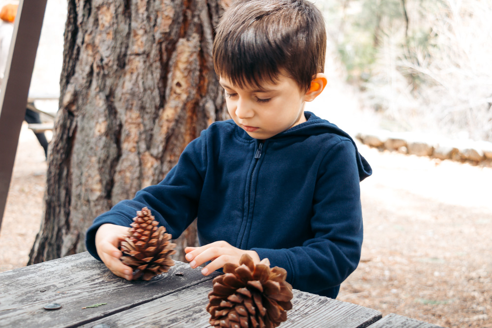 Things to do in Yosemite with kids - Roads and Destinations.