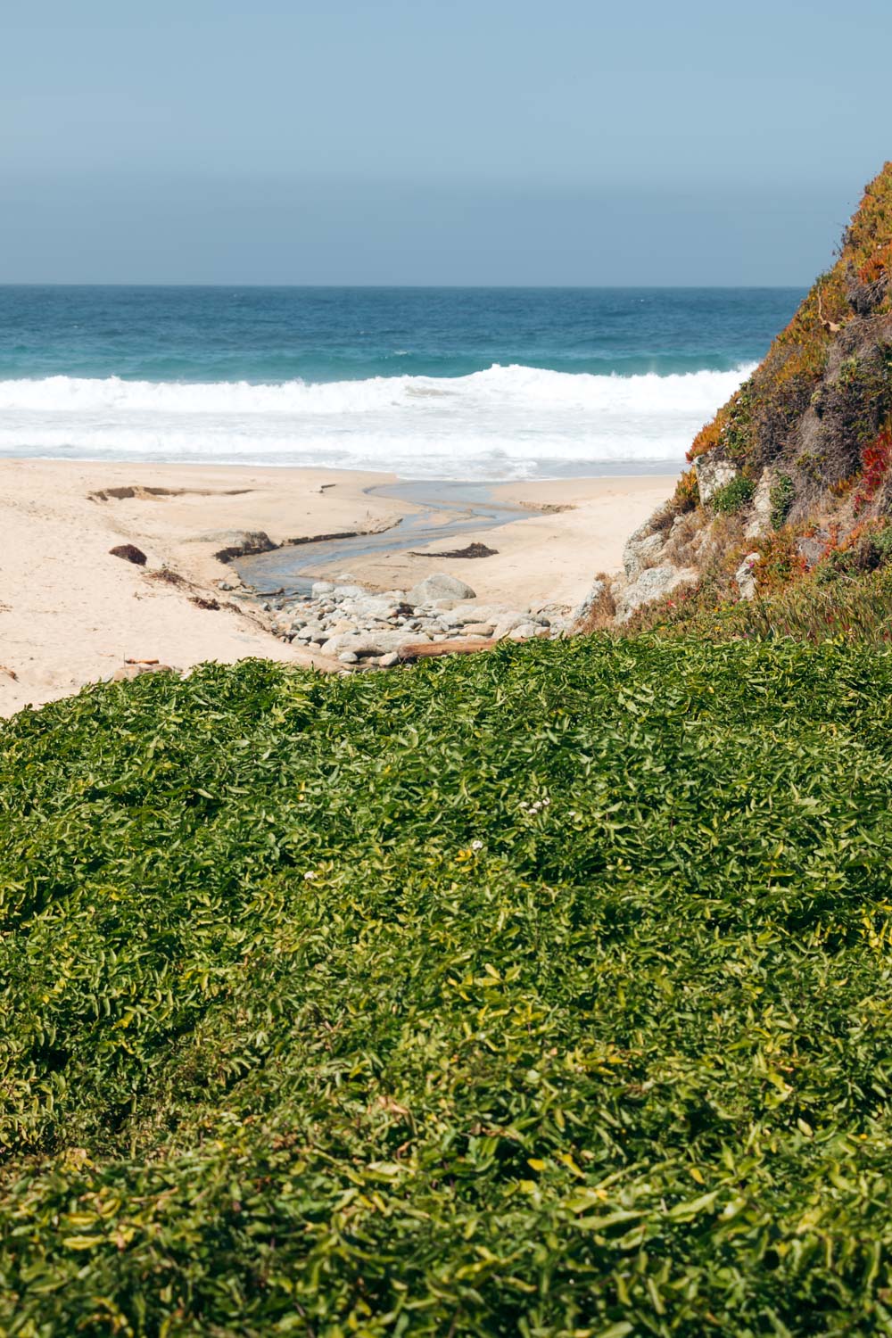 Calla Lily Valley in Big Sur - Roads and Destinations