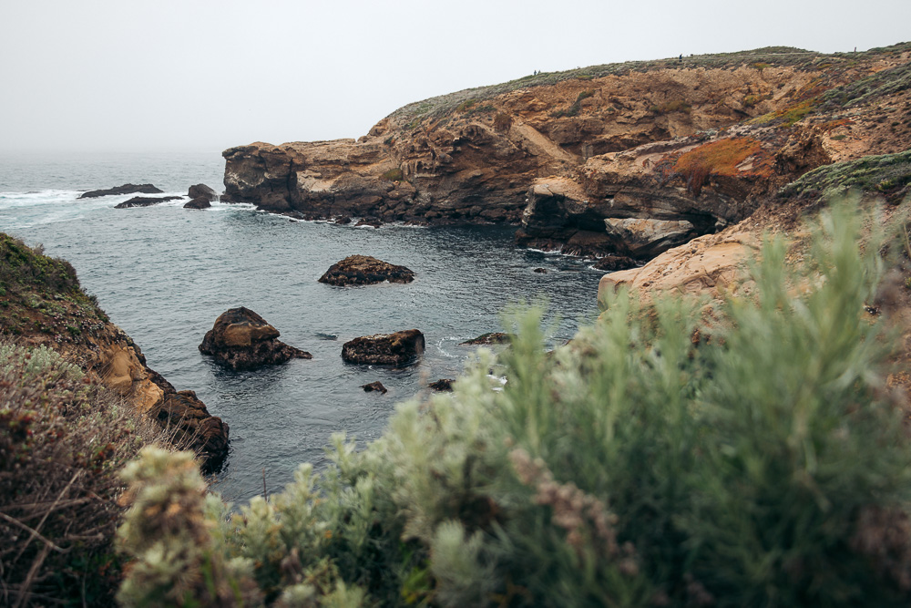 Big Sur Drive - Places to Visit and Things to Do - Roads and Destinations