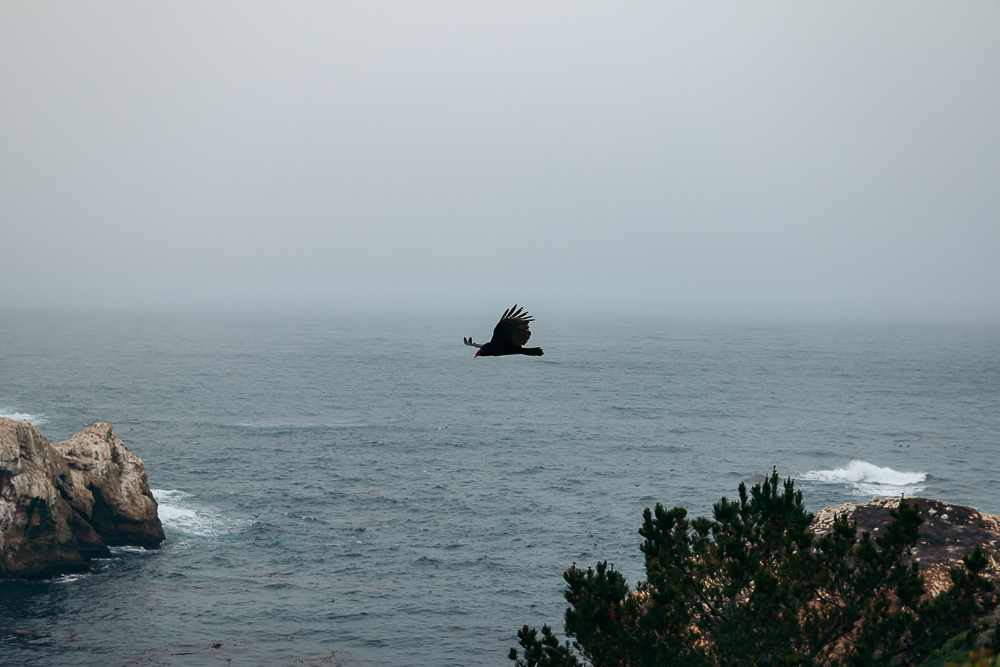 Big Sur Drive - Places to Visit and Things to Do - Roads and Destinations