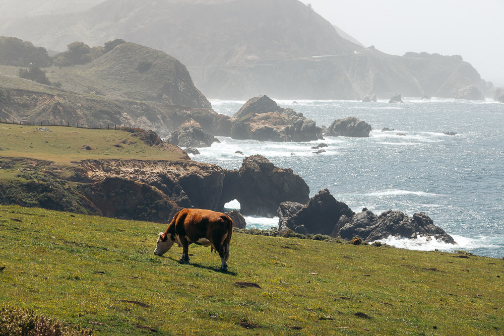 Big Sur Drive - Places to Visit and Things to Do - Roads and Destinations