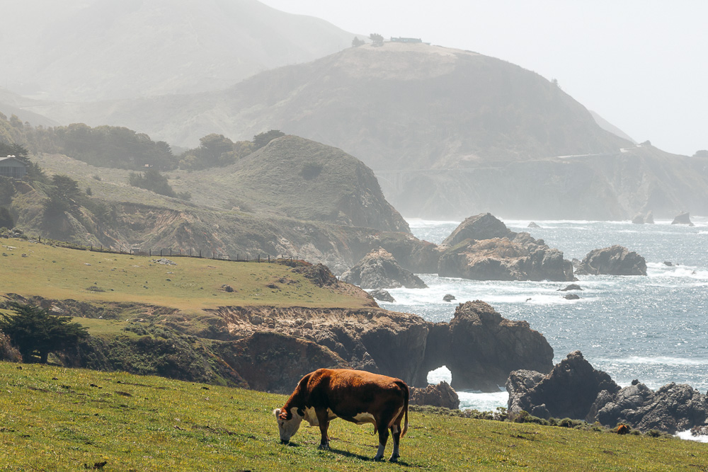 Big Sur Drive - Places to Visit and Things to Do - Roads and Destinations