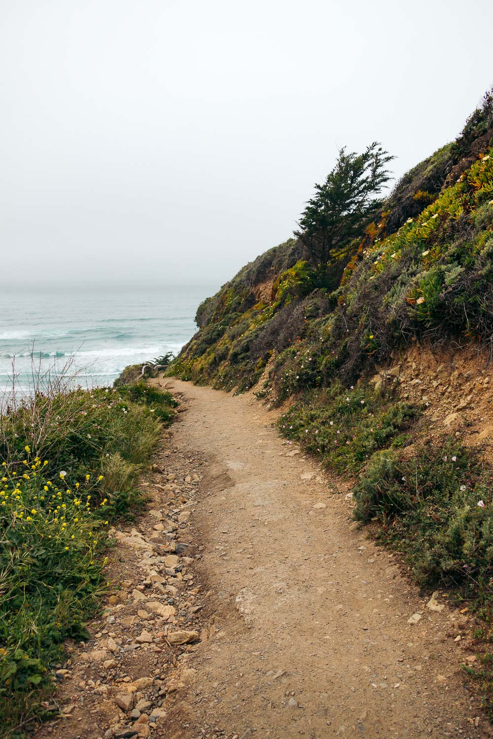 Big Sur Drive - Places to Visit and Things to Do - Roads and Destinations