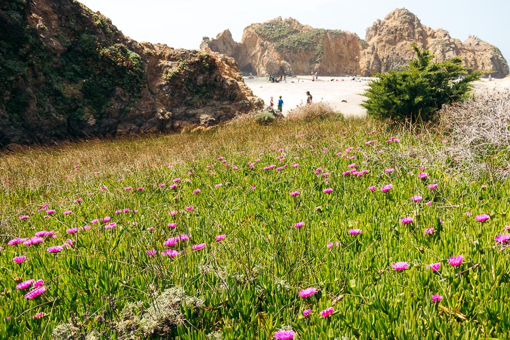 Big Sur Drive - Places to Visit and Things to Do - Roads and Destinations