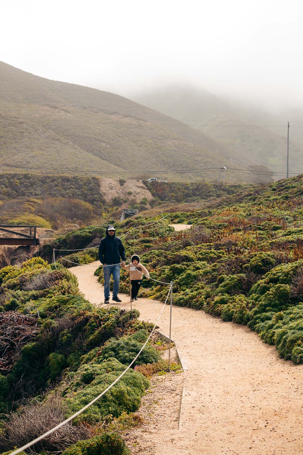 Garrapata State Park - Roads and Destinations