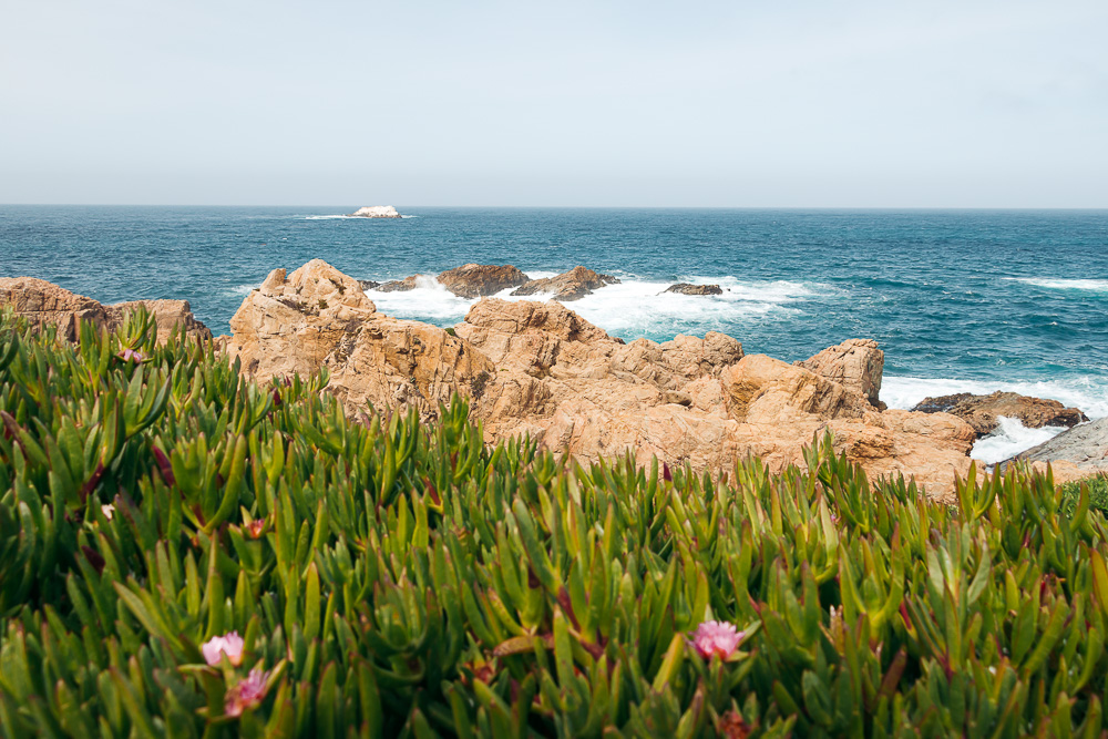 How to Hike Soberanes Point, Whale Peak Trail in Garrapata State Park - Roads and Destinations