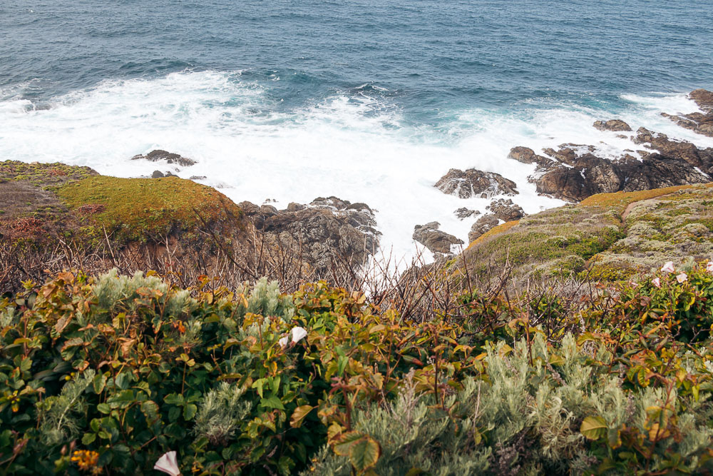 How to Hike Soberanes Point, Whale Peak Trail in Garrapata State Park - Roads and Destinations