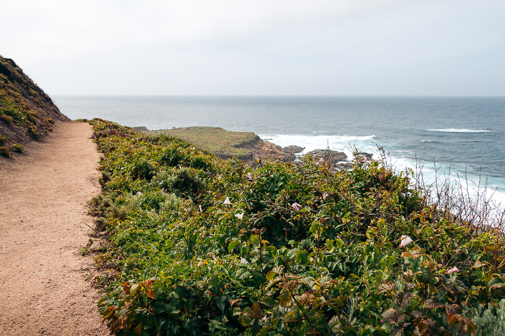 How to Hike Soberanes Point, Whale Peak Trail in Garrapata State Park - Roads and Destinations