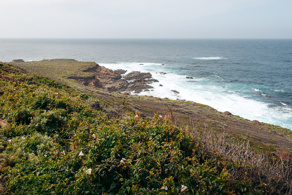 Garrapata State Park - Roads and Destinations