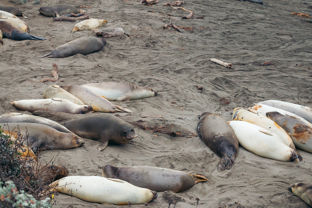 San Simeon - Roads and Destinations