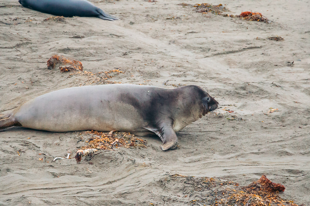 San Simeon - Roads and Destinations