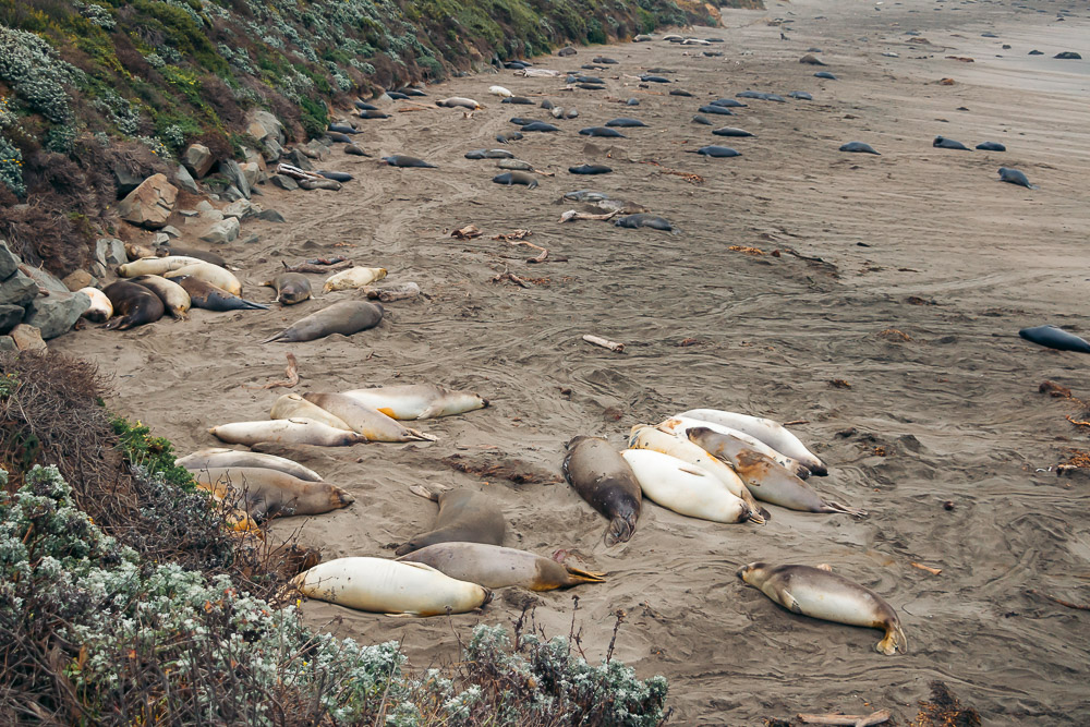 San Simeon - Roads and Destinations