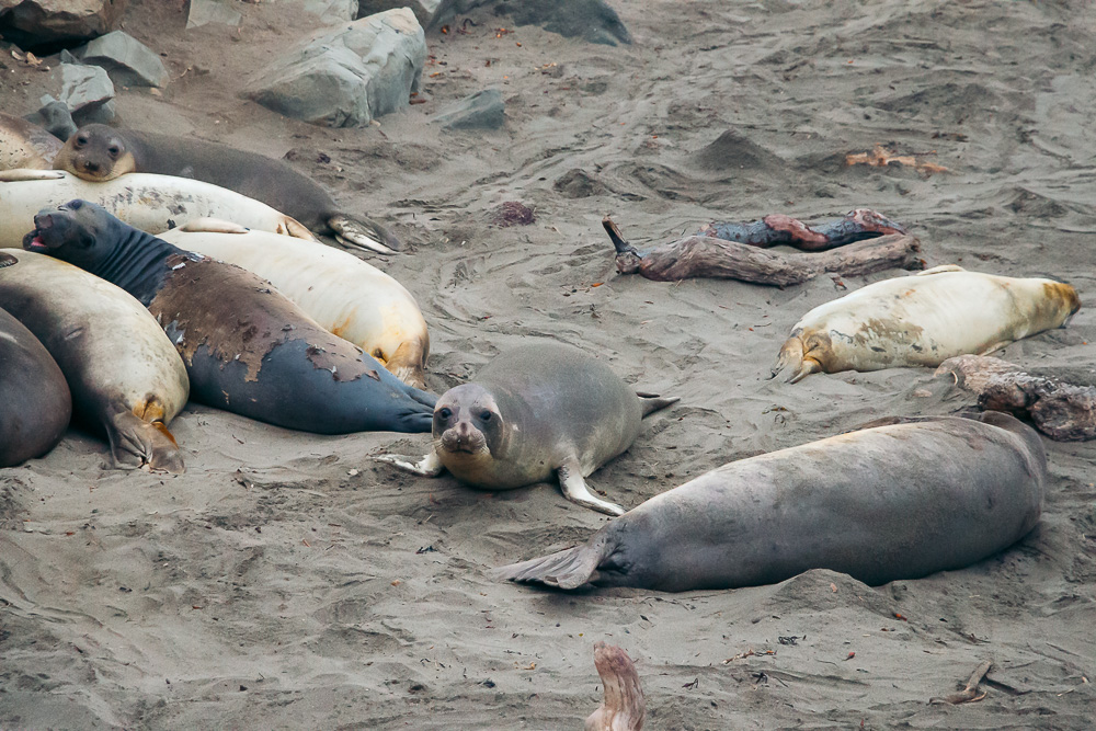 San Simeon - Roads and Destinations