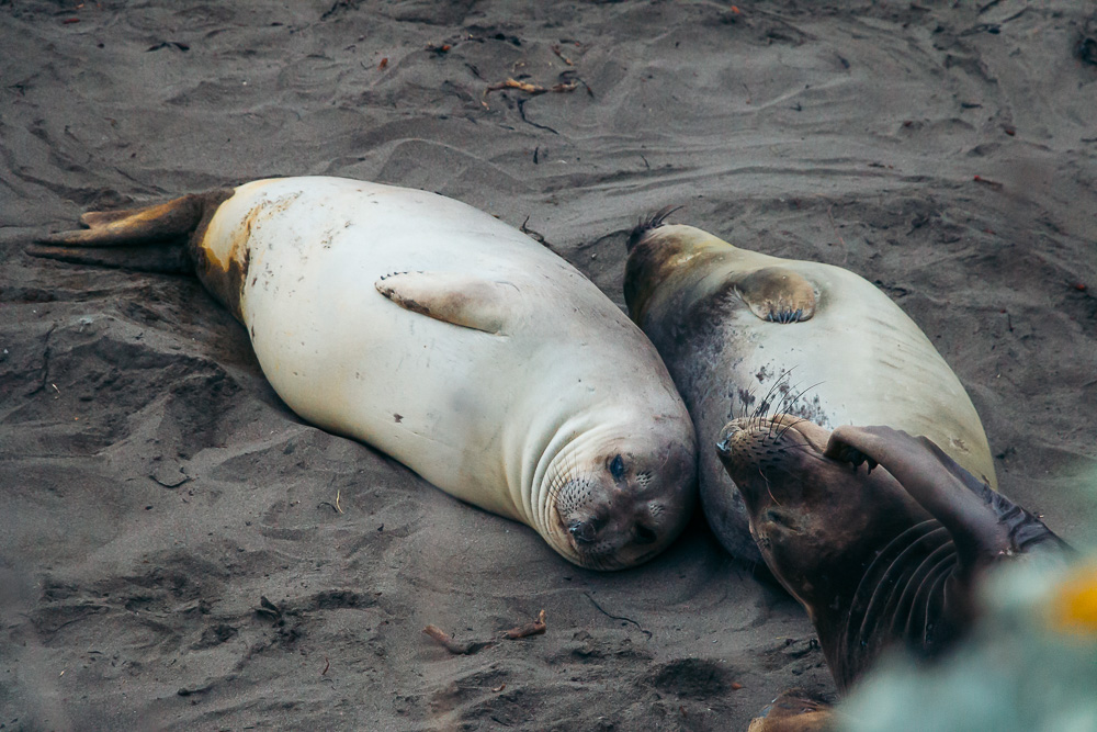 San Simeon - Roads and Destinations