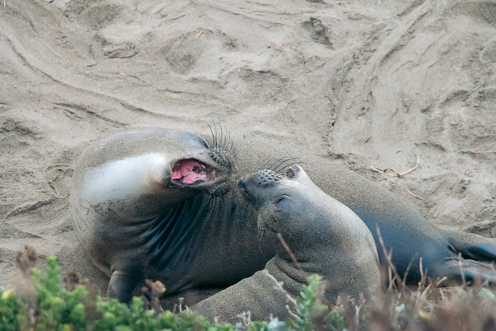 San Simeon - Roads and Destinations