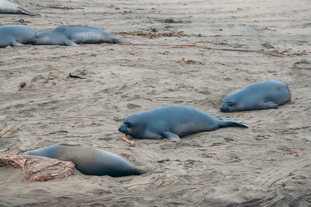 San Simeon - Roads and Destinations