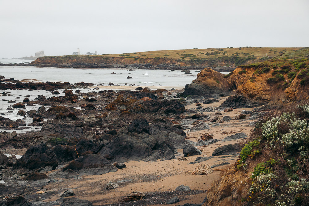 Watching elephant seals at the Piedras Blancas Elephant Seals Rookery in San Simeon - Roads and Destinations