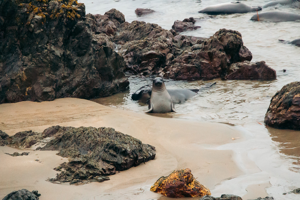 San Simeon - Roads and Destinations