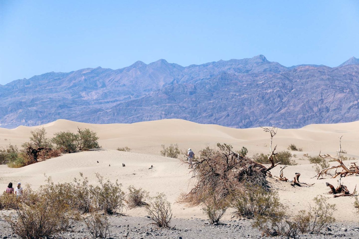 Road trip through national parks on the West Coast - Roads and Destinations