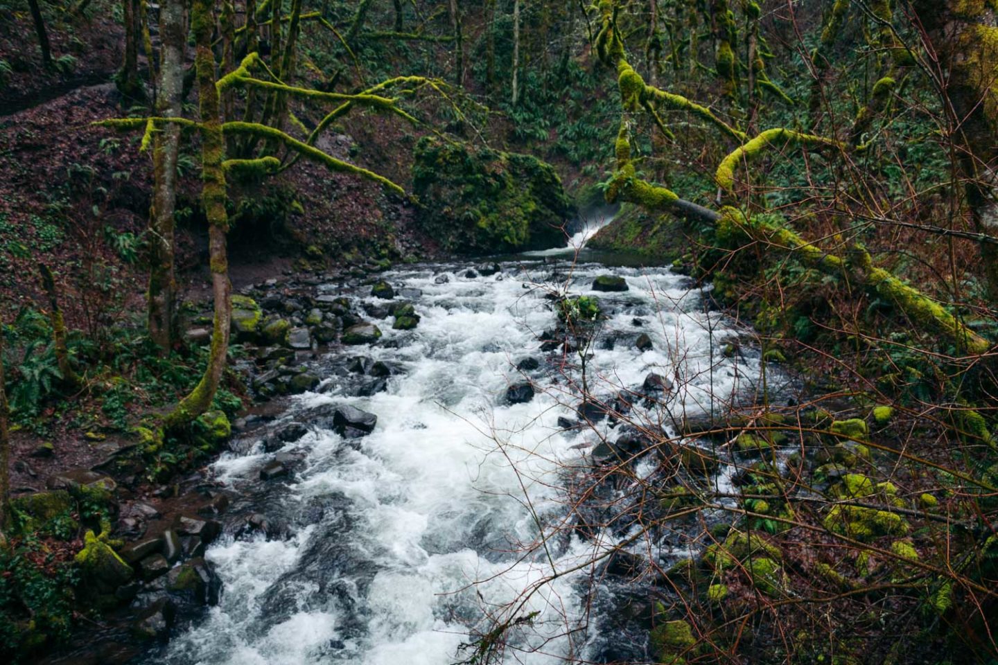 The best waterfalls in Columbia River Gorge - Roads and Destinations