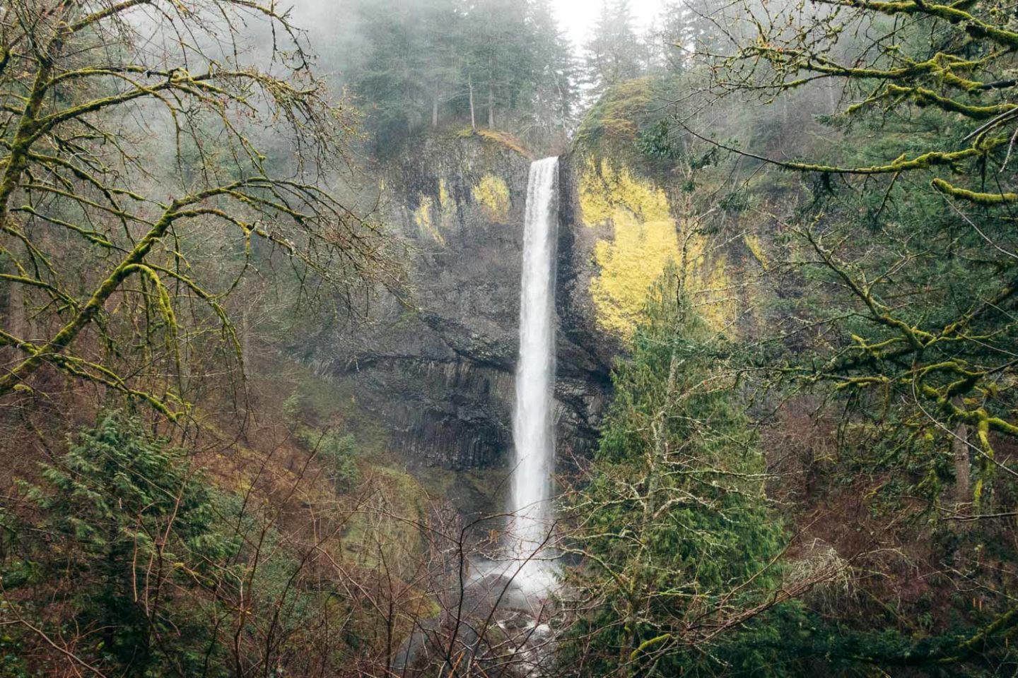 Visit Latourell Falls, Oregon - Roads and Destinations