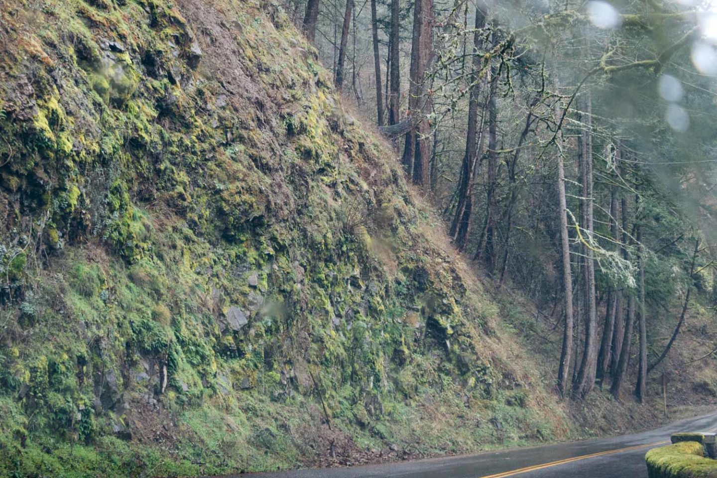 Columbia River Gorge - Roads and Destinations