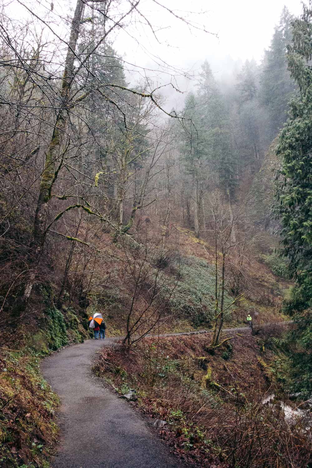 Visit Latourell Falls, Oregon - Roads and Destinations