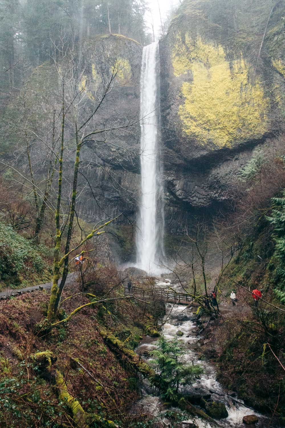 Visit Latourell Falls, Oregon - Roads and Destinations