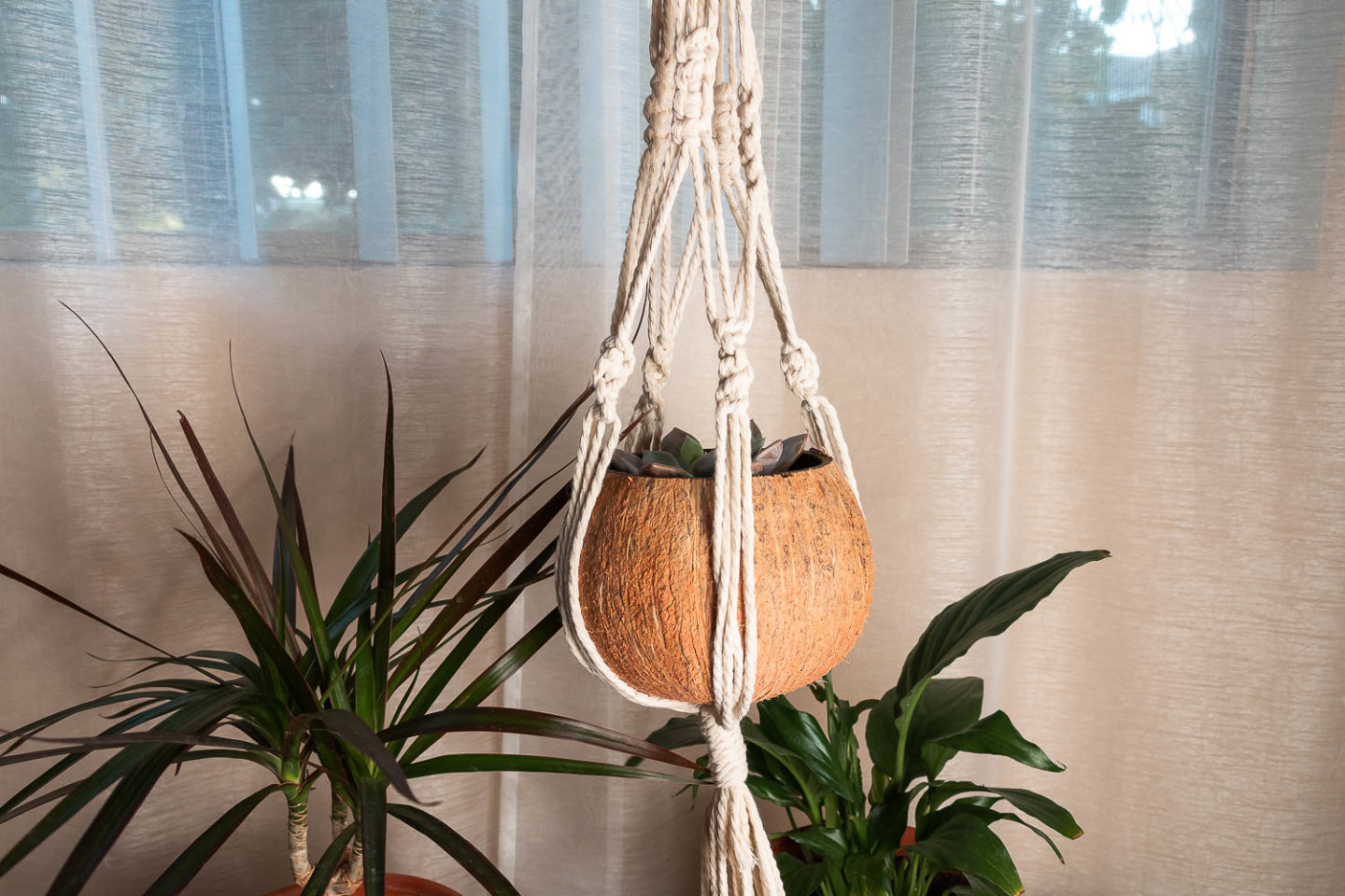 Coconut   shell pots and macrame plant hangers - Roads and Destinations.