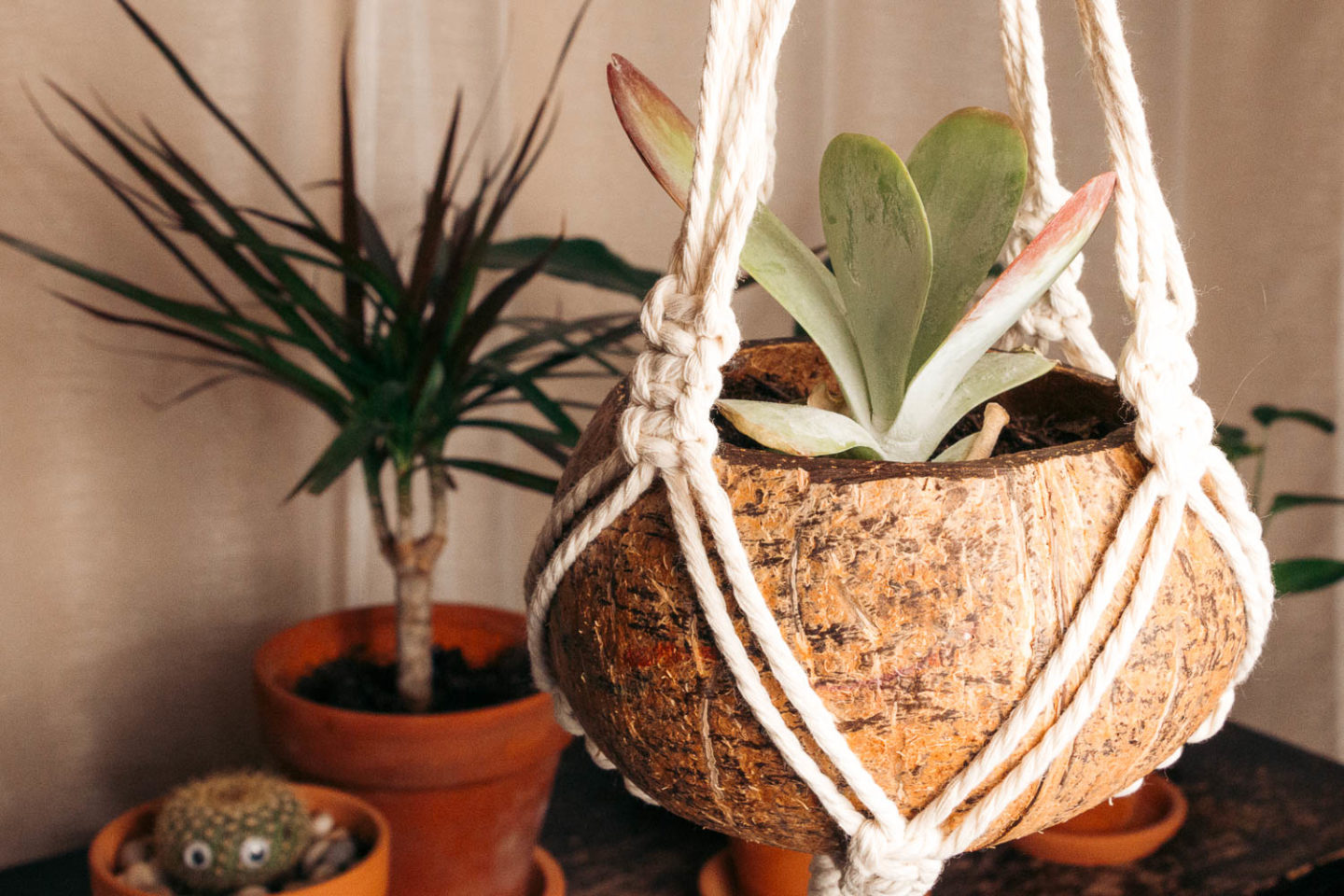 Coconut   shell pots and macrame plant hangers - Roads and Destinations.