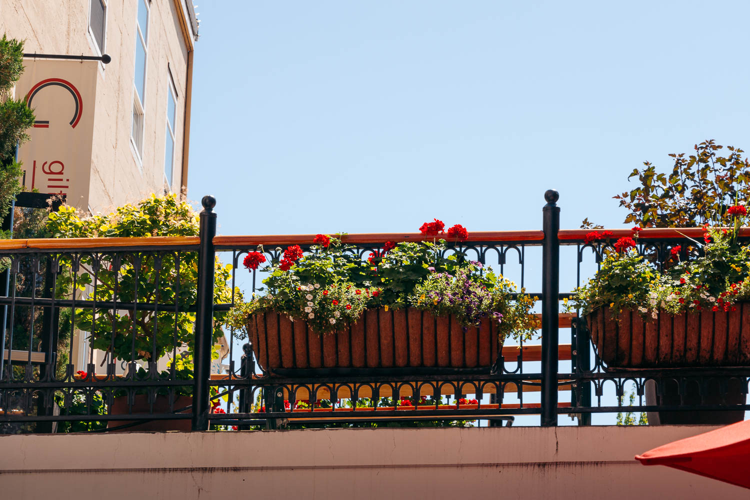 One Perfect Day in Eugene, Oregon Top 9 Things to Do with Kids Roads