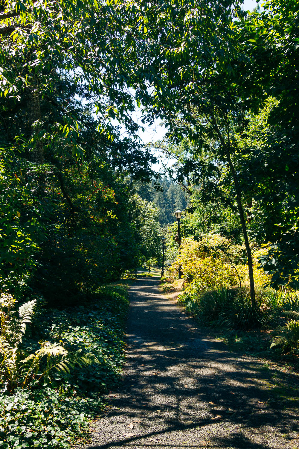 One day in Eugene, Oregon - Roads and Destinations