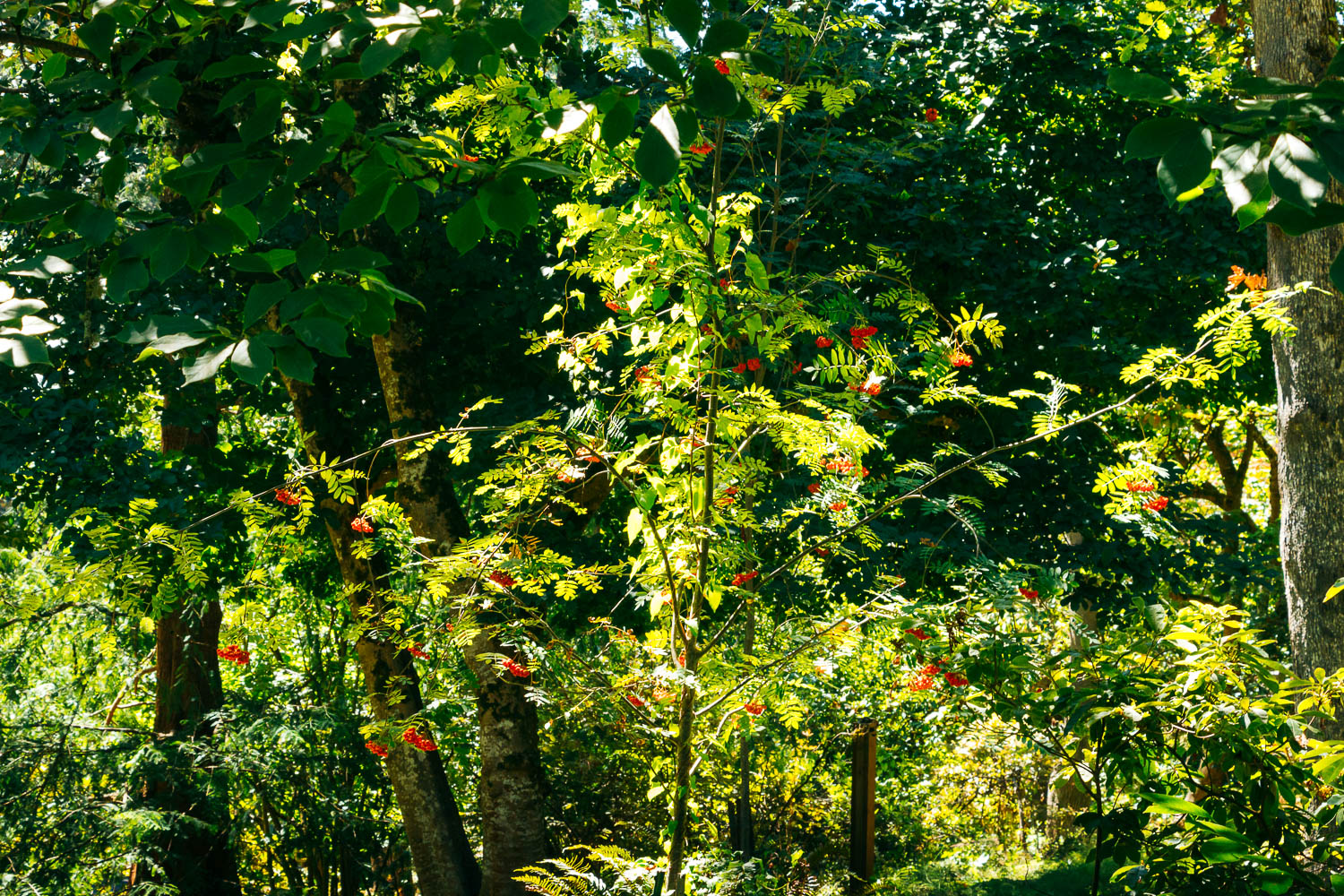 One Perfect Day in Eugene, Oregon Top 9 Things to Do with Kids Roads