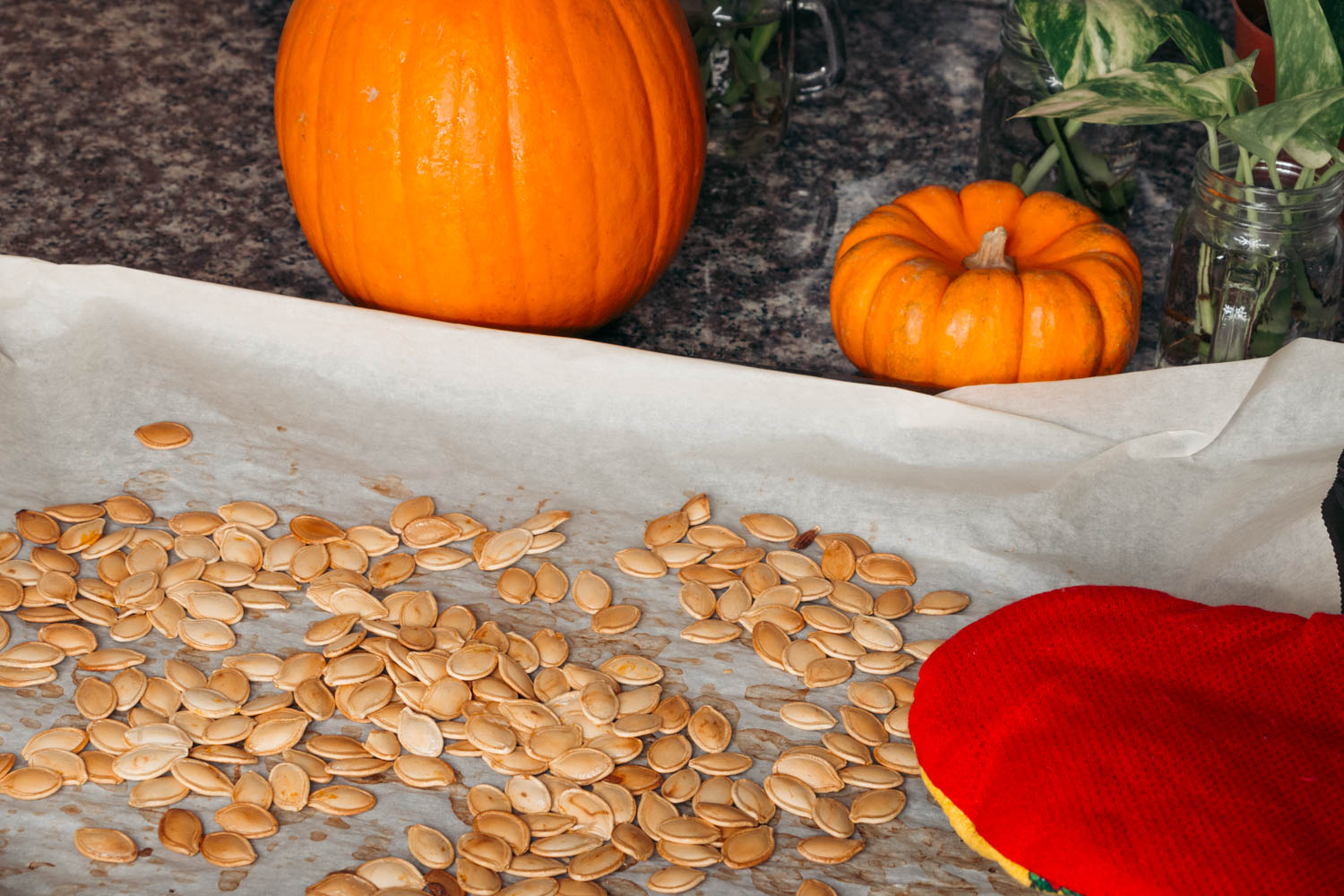 Pumpkin seeds - Roads and Destinations