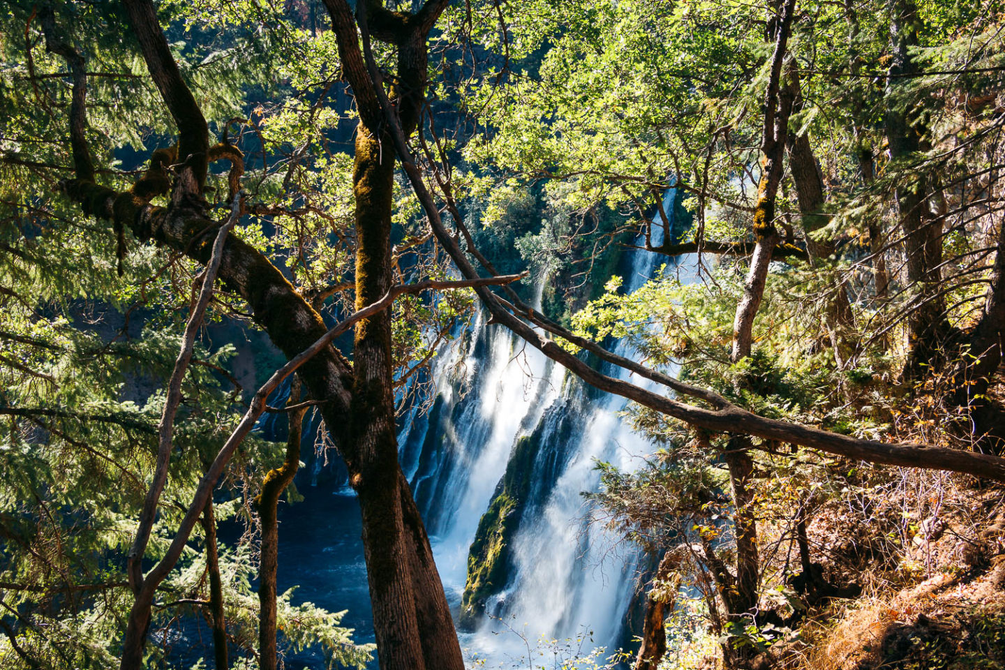 Hike to Burney Falls - Roads and Destinations
