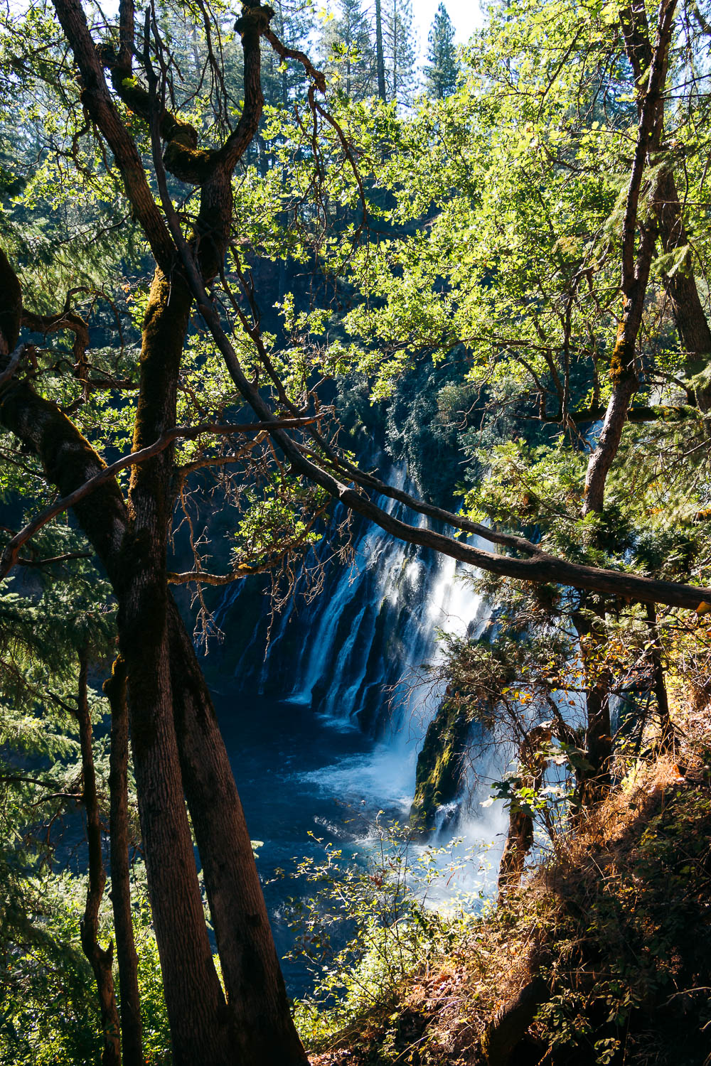 Northern California - Roads and Destinations