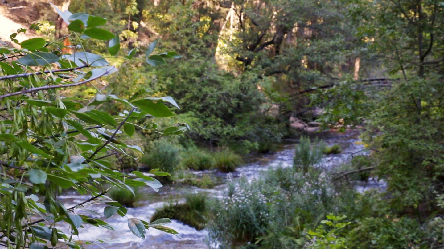 Visit Burney Falls - Roads and Destinations