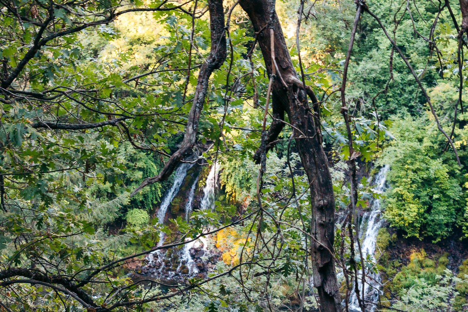 Burney Falls - Roads and Destinations