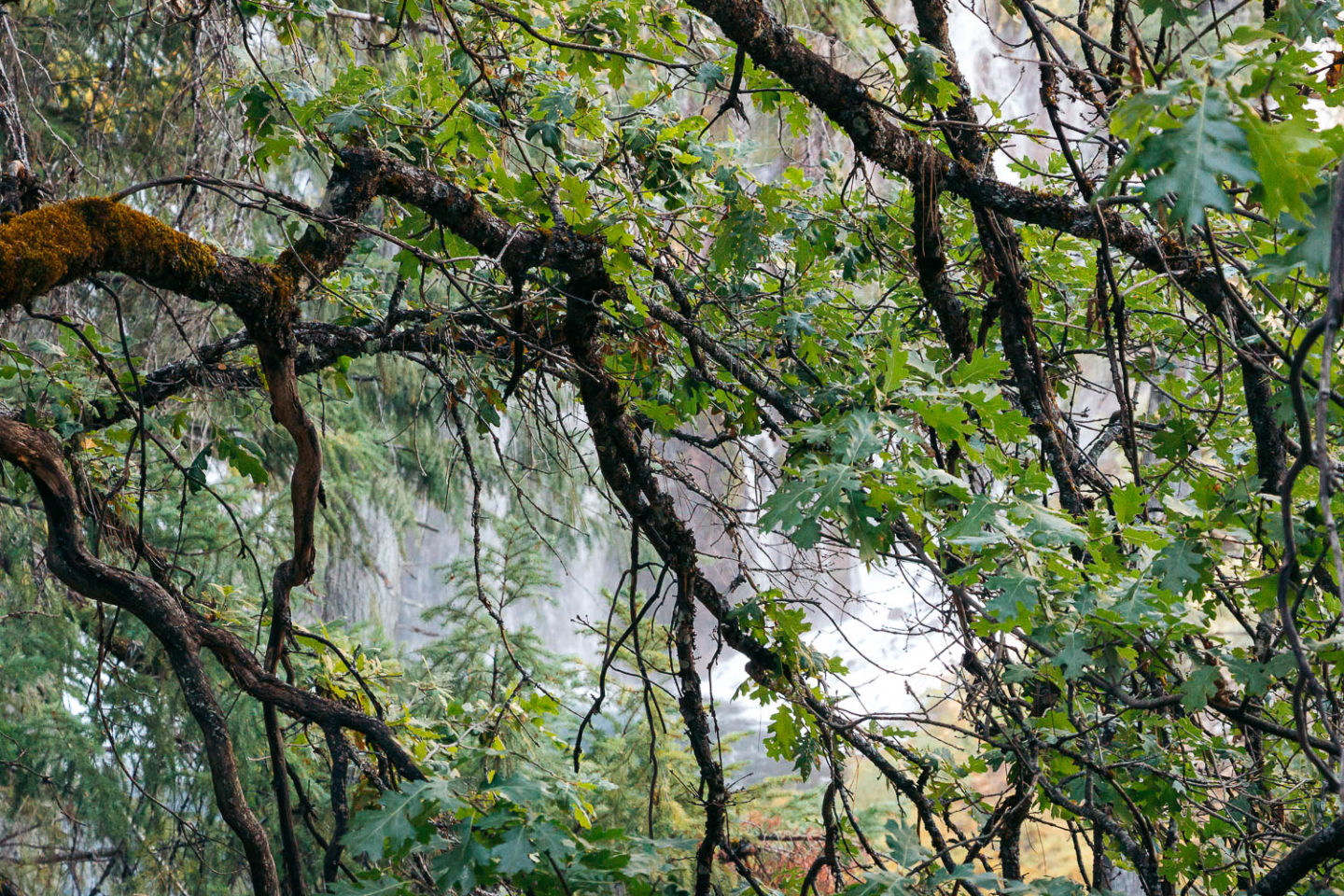 Burney Falls - Roads and Destinations