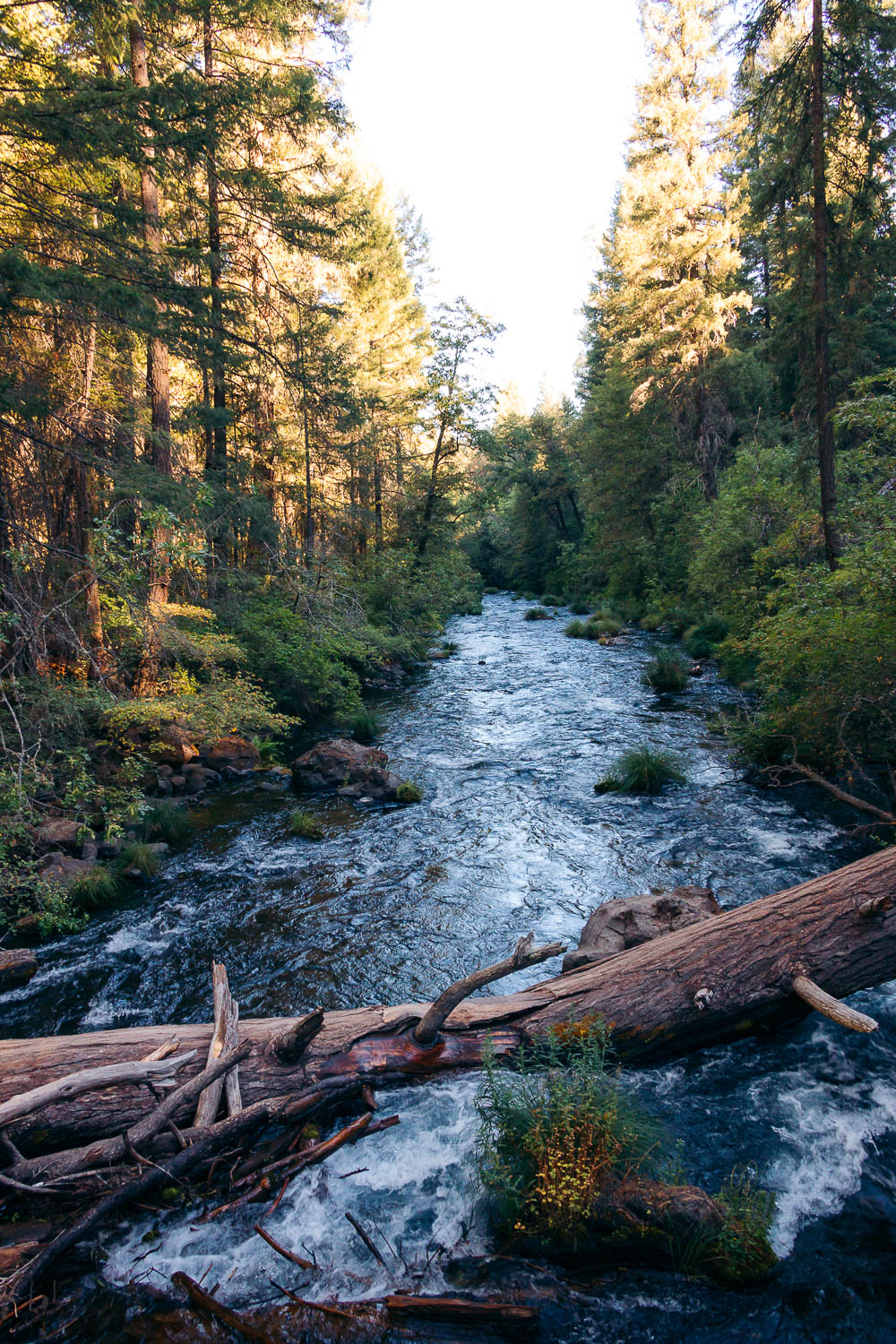 Visit Burney Falls - Roads and Destinations